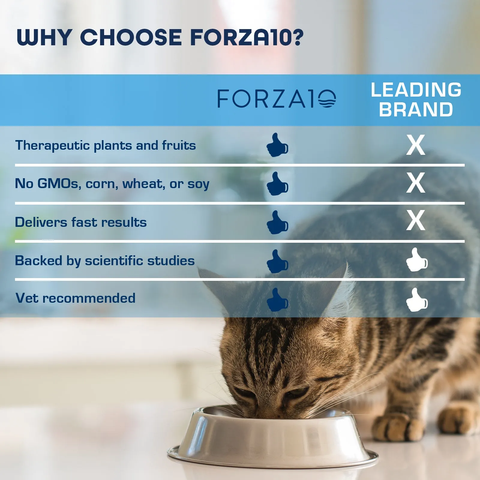 Forza10 Nutraceutic ActiWet Dermo Support Icelandic Fish Recipe Canned Cat Food