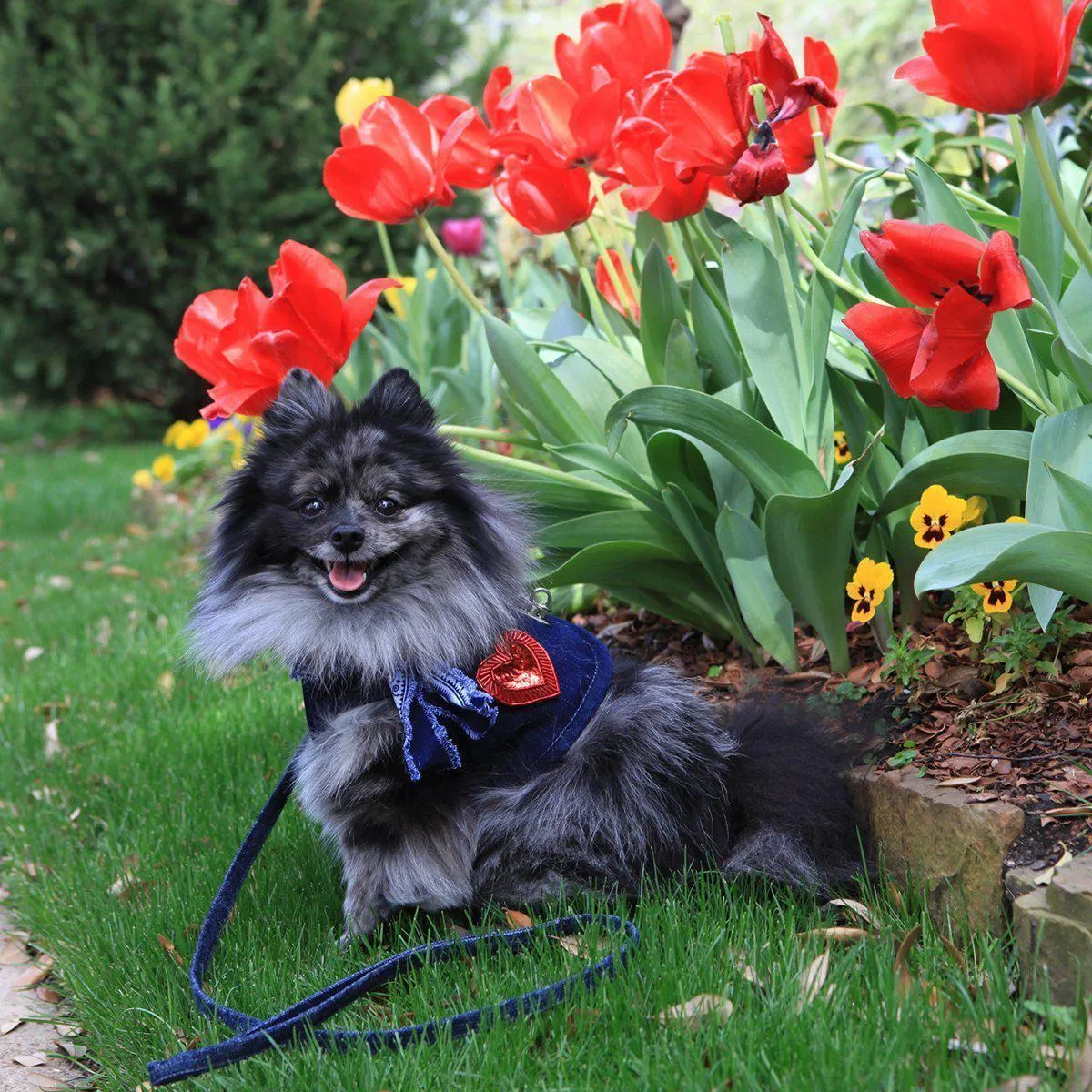 Hollywood Denim Dog Harness Vest With Frayed Collar