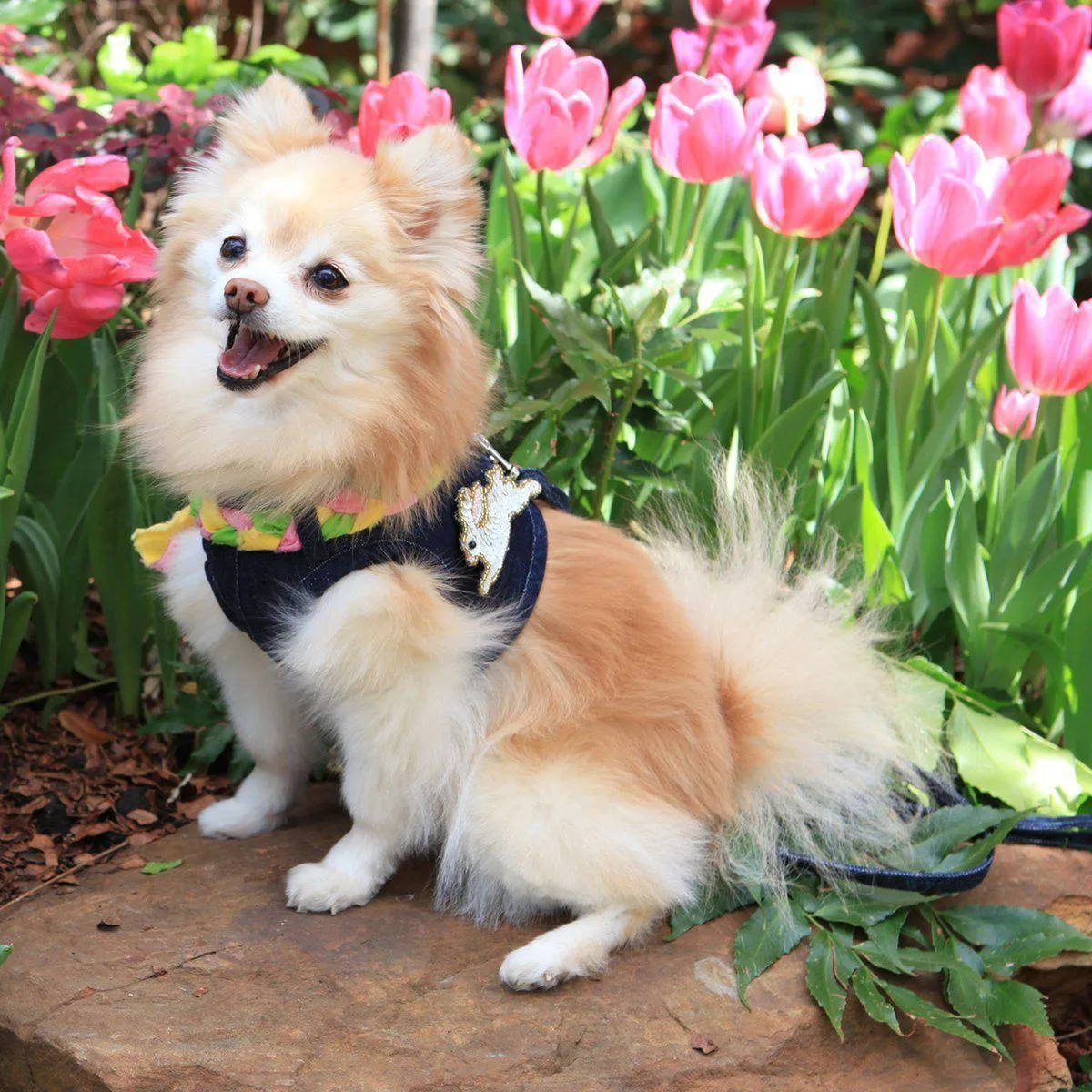 Hollywood Denim Dog Harness Vest With Frayed Collar