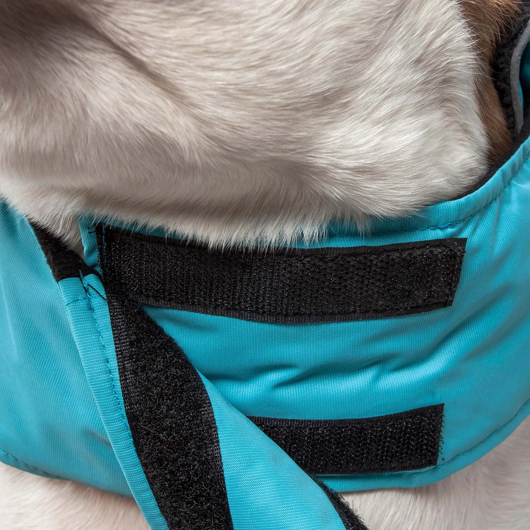 Touchdog Waterproof Convertible Dog Jacket-Blue